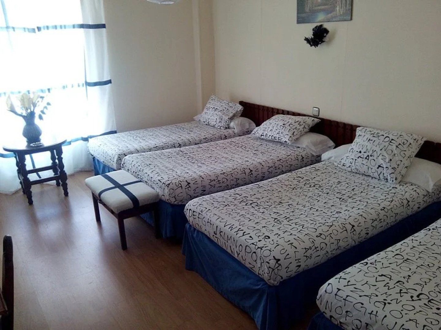 Nuevo Hotel Vista Alegre