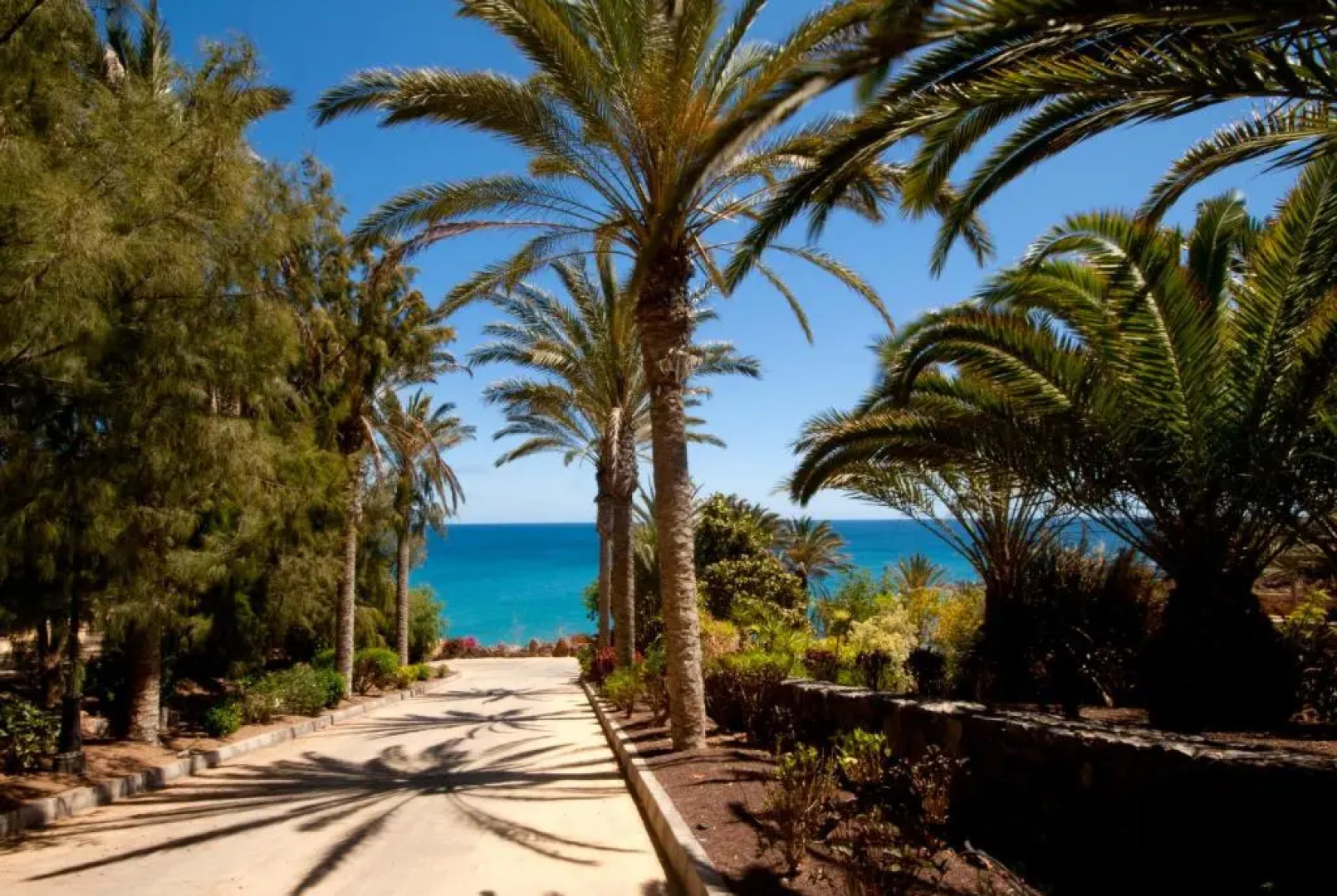 Hotel R2 Río Calma Spa Wellness & Conference