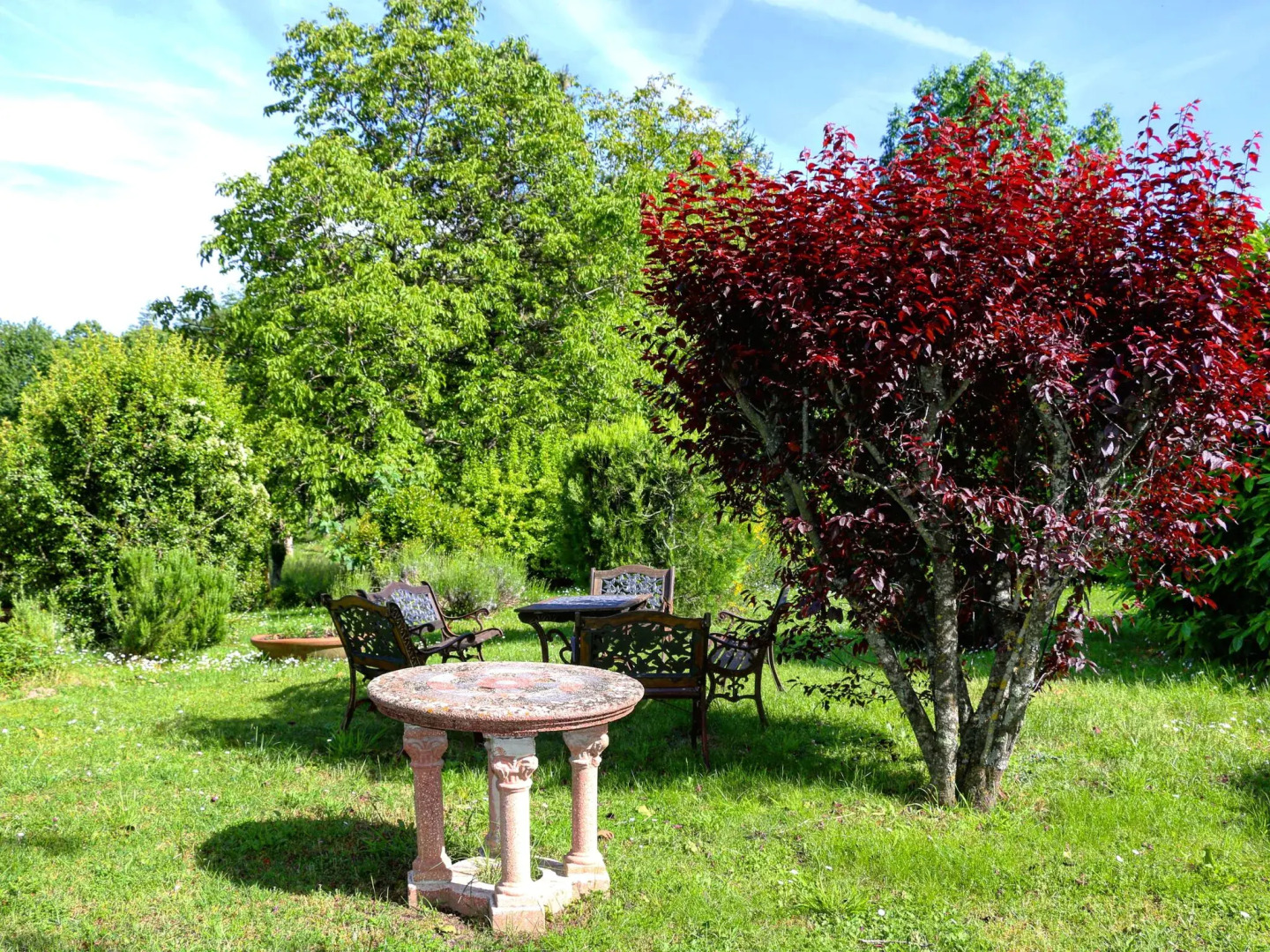A holiday home with swimming pool in a national park
