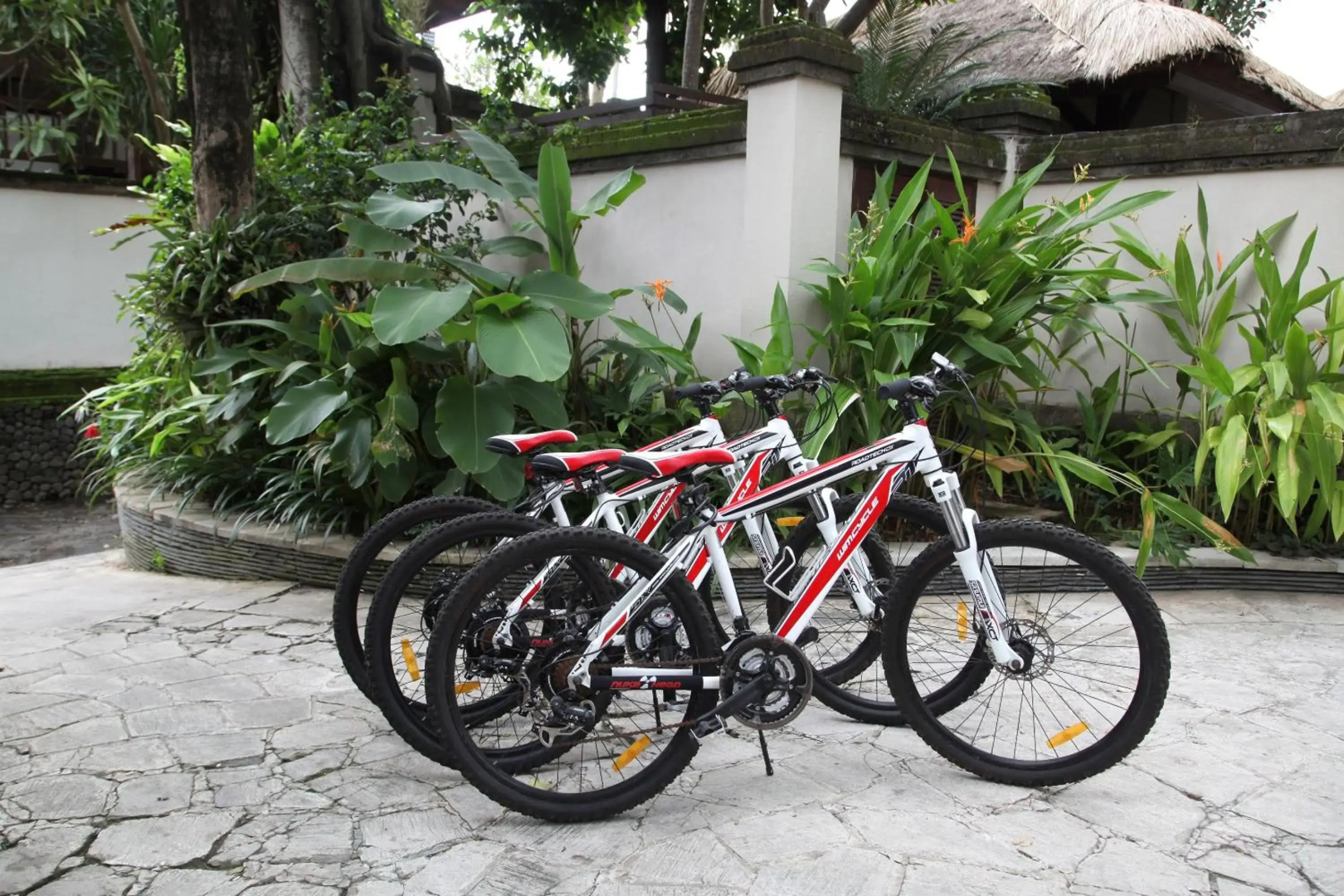 Tamu Seseh