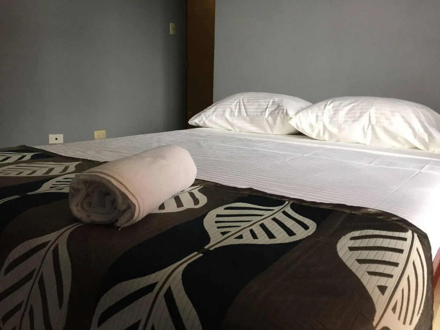 Arenal Bromelias (Antes Carmela)