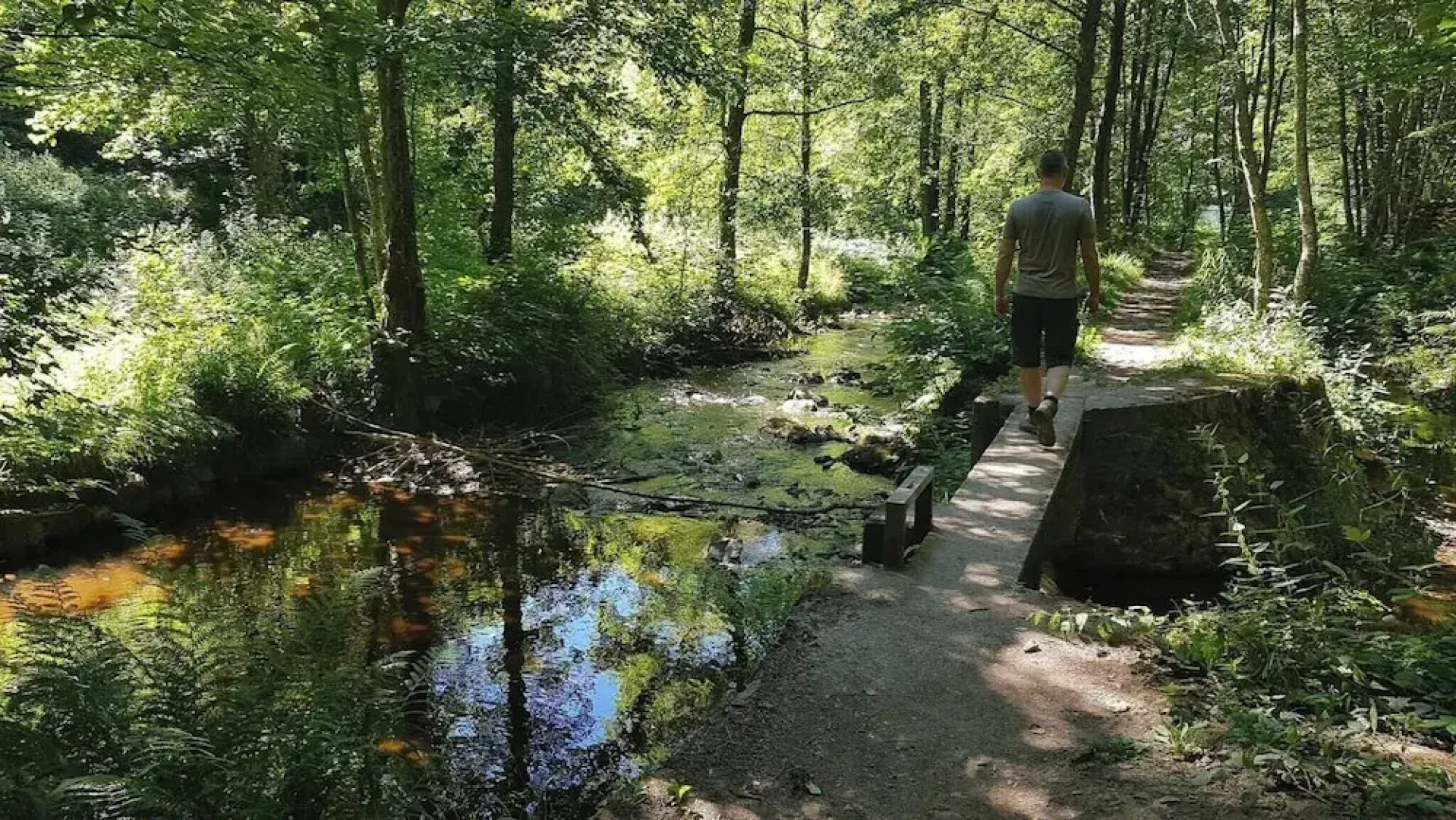 Room-tranquil Retreat in Hamoir, Belgium