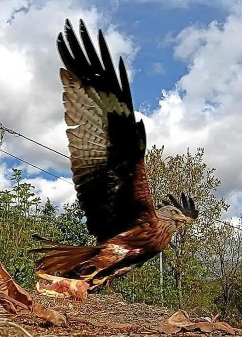 Terrasses de Malmedy Studio 332