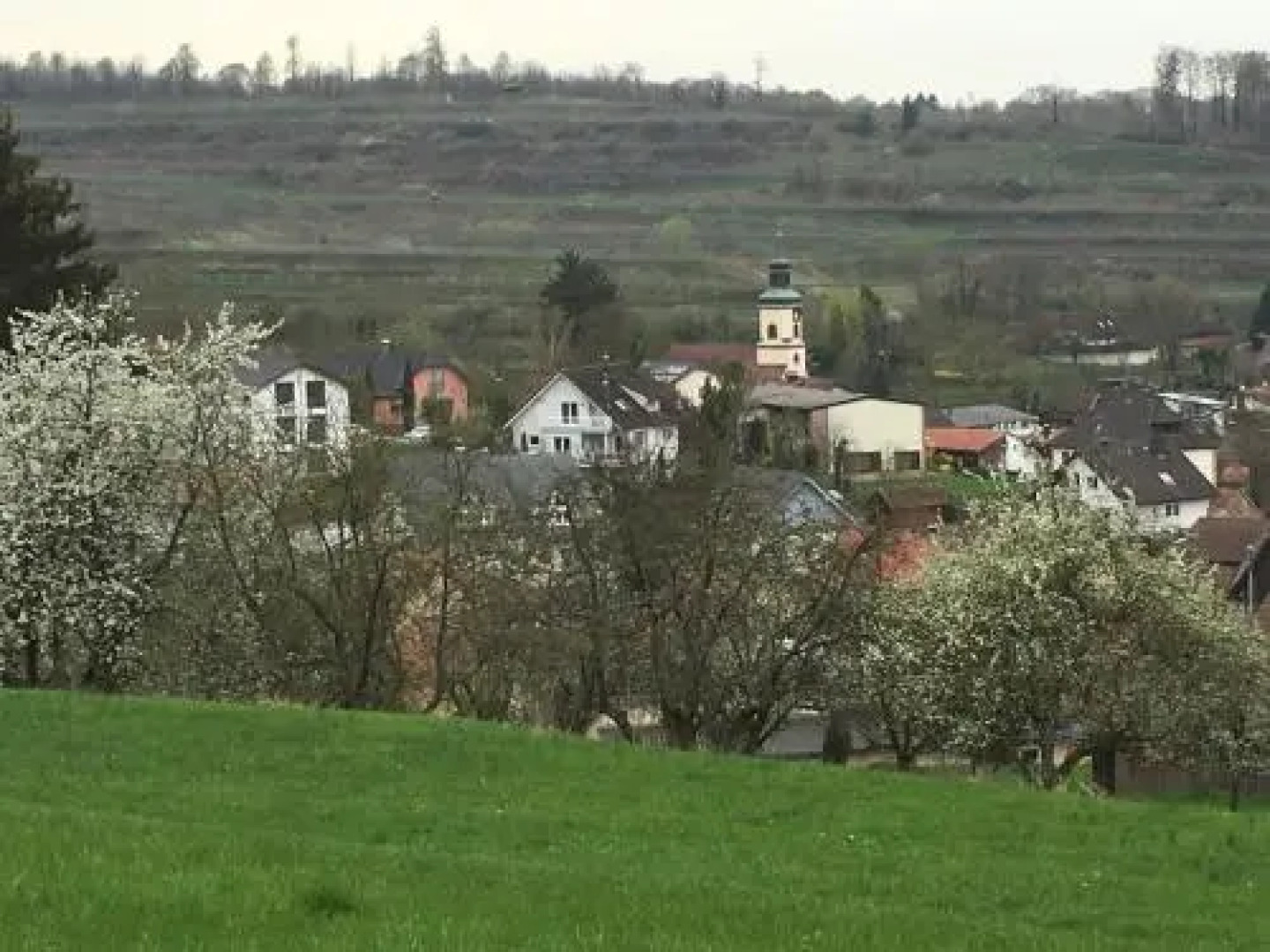 Holiday Apartment Bombach