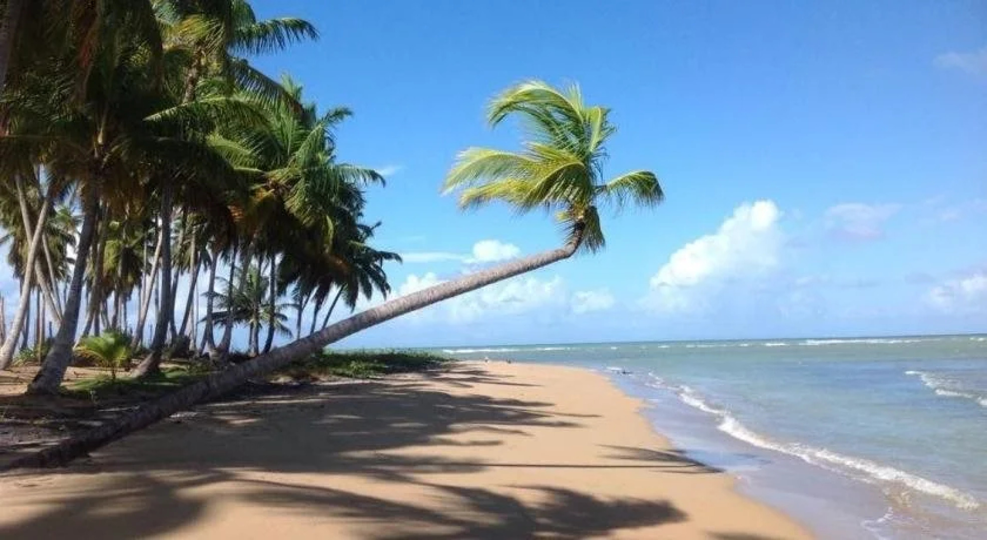 Dan and Manty's Guesthouse