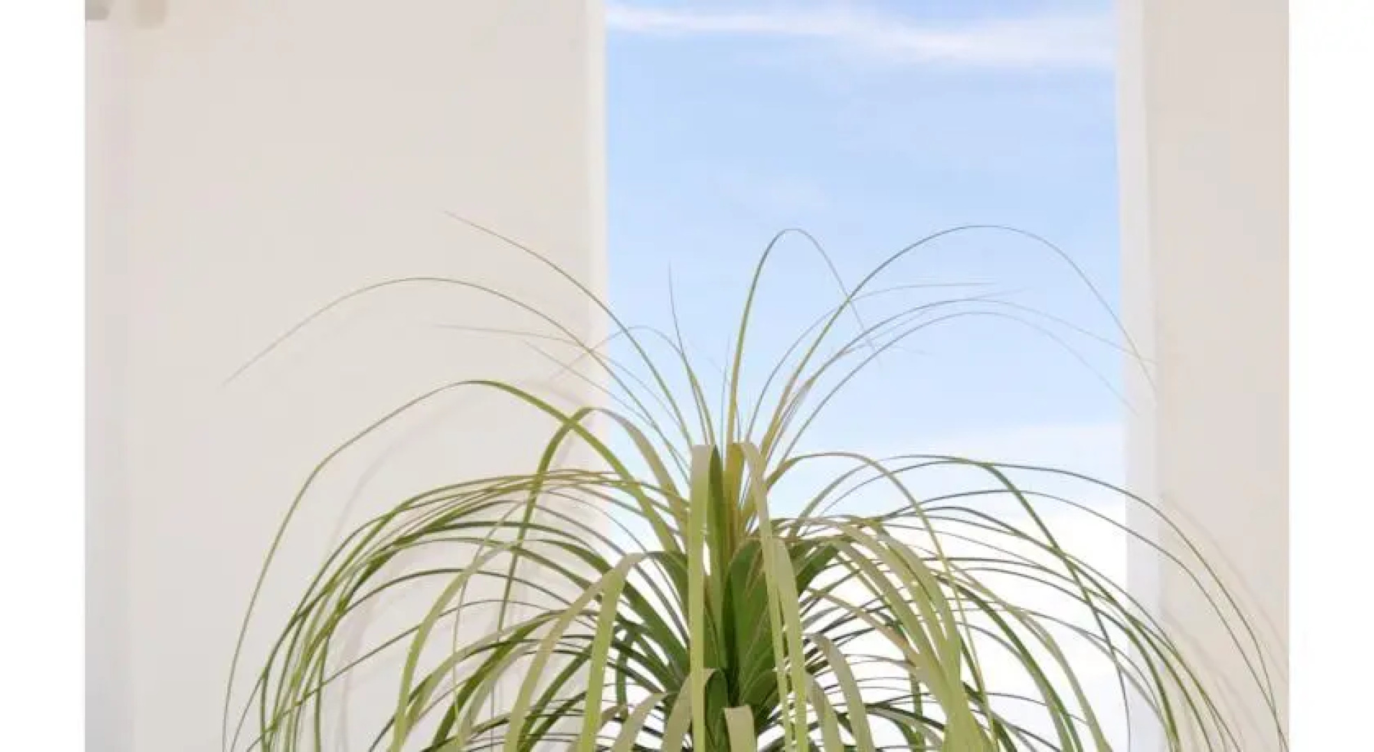 Departamento Mirador