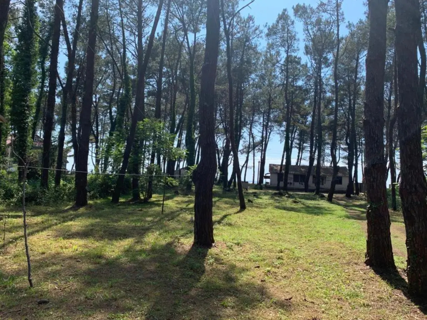 Shekvetili Beach House