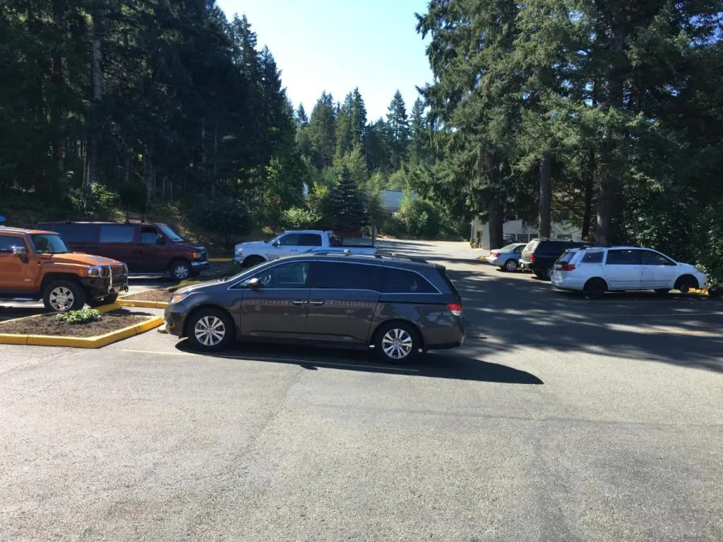 Belfair Motel