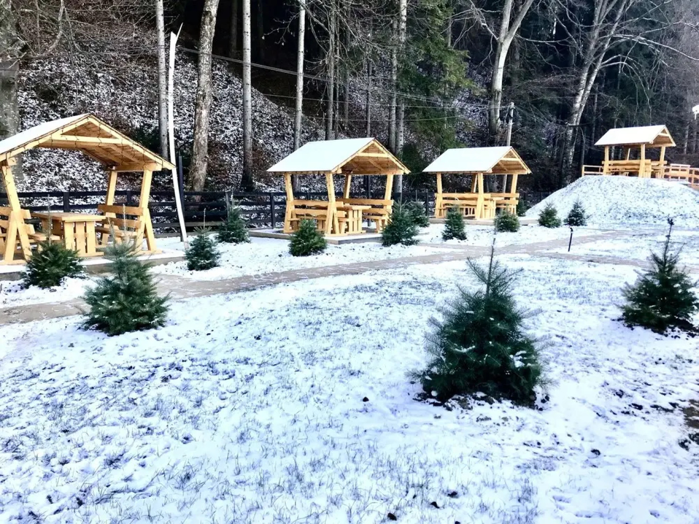 Cabana Sura Getilor Arinis