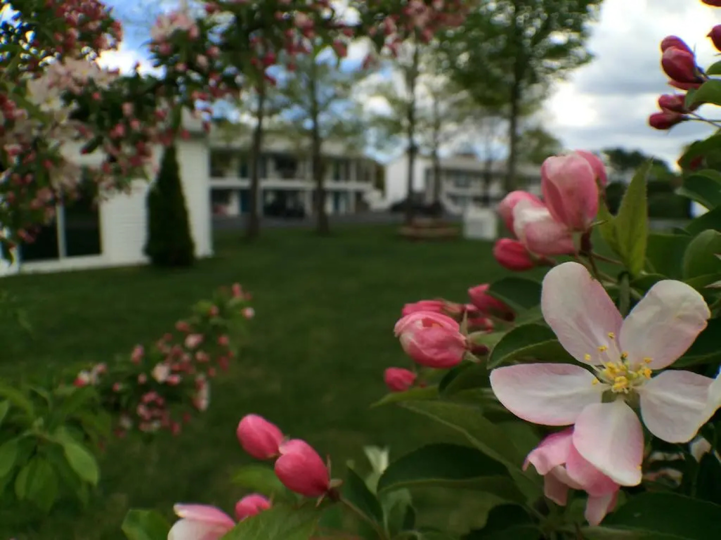 Bourne's Ocean Acres Ogunquit