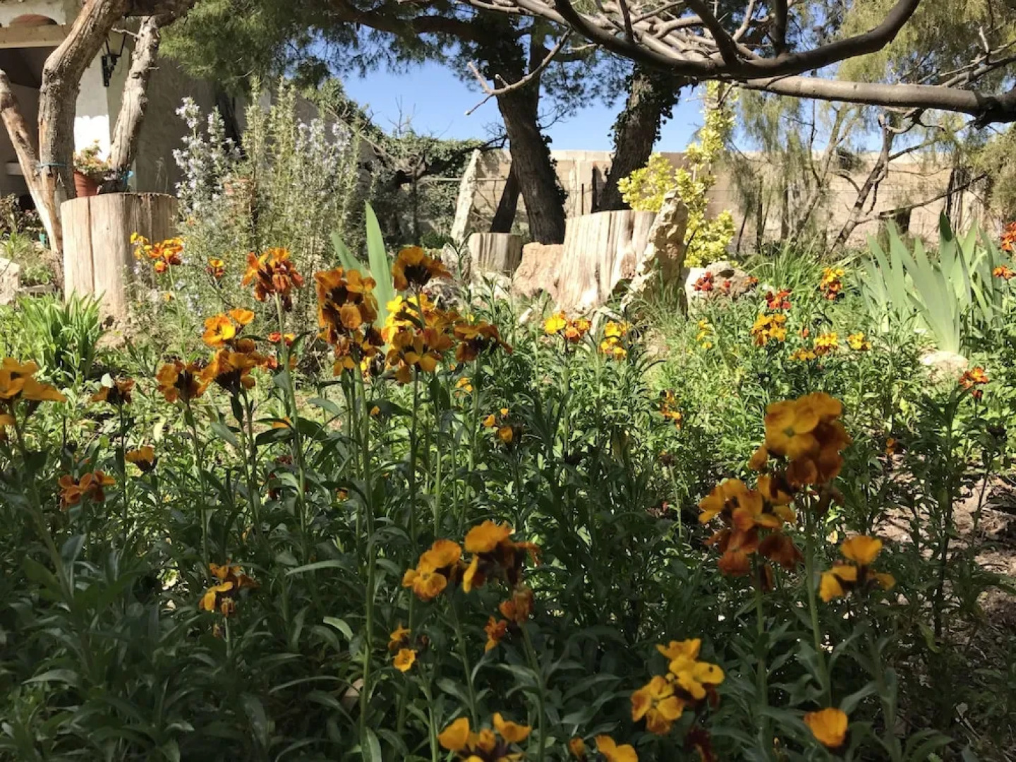 Casa Rural la Granja