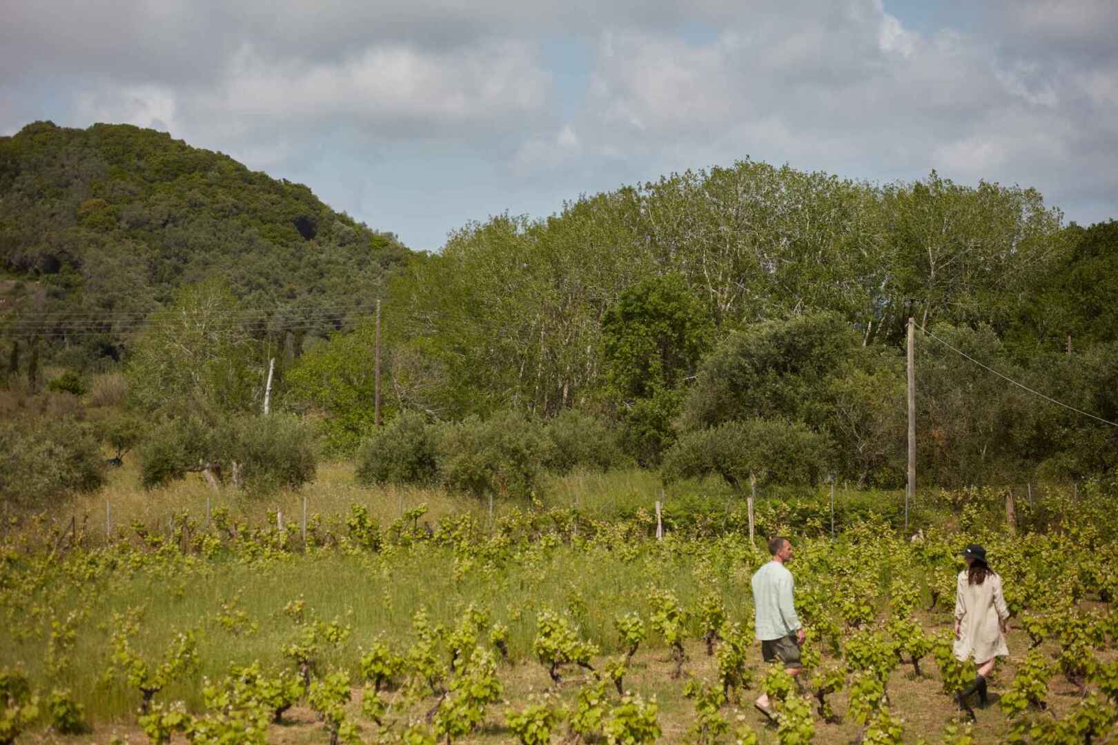 King Jason Zante – Adults Only