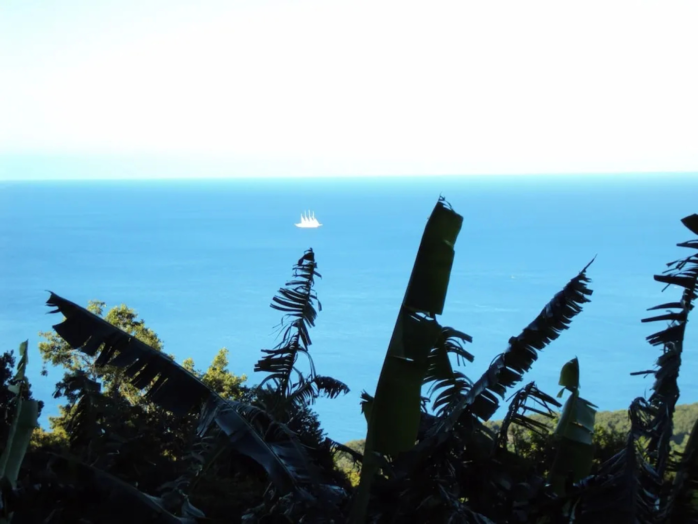 Guadeloupe-Paradisio