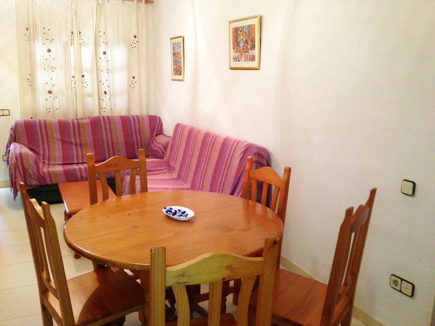 Apartamentos Palma Blanca 3000