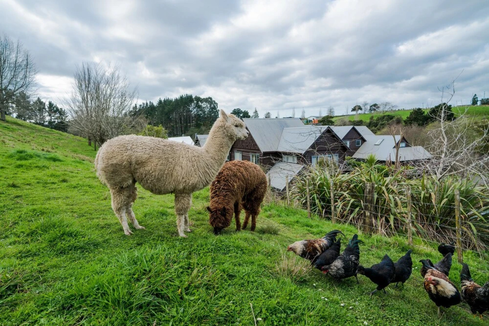 Ramarama Luxury Vacation Villa