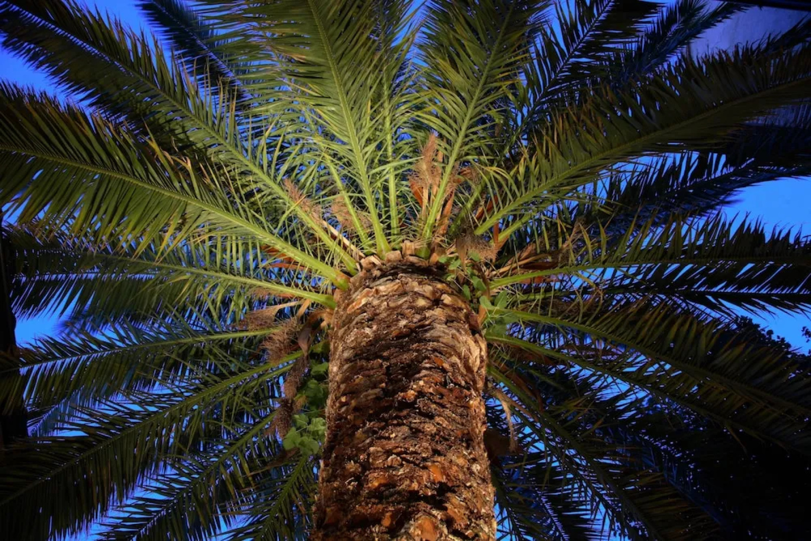 Casa Rural Patio Del Maestro