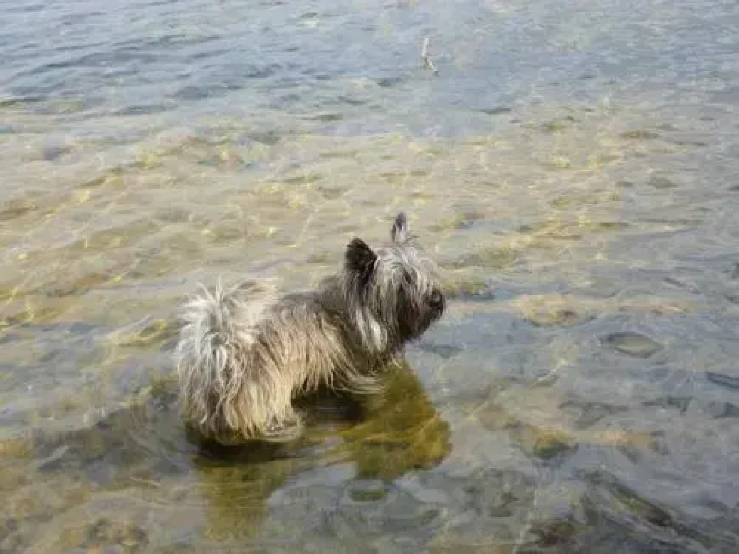 Glendaruel Bed and Breakfast