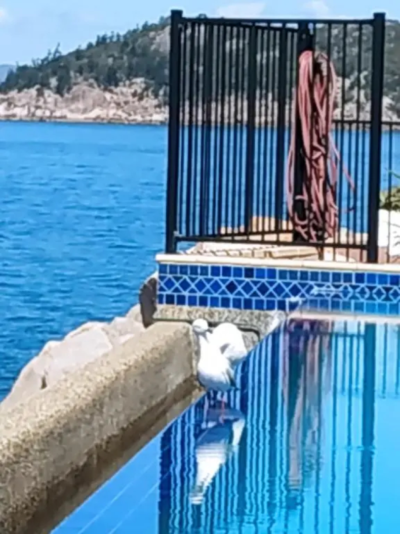 Best at Bright Point Absolute Waterfront 4 bedroom apartment