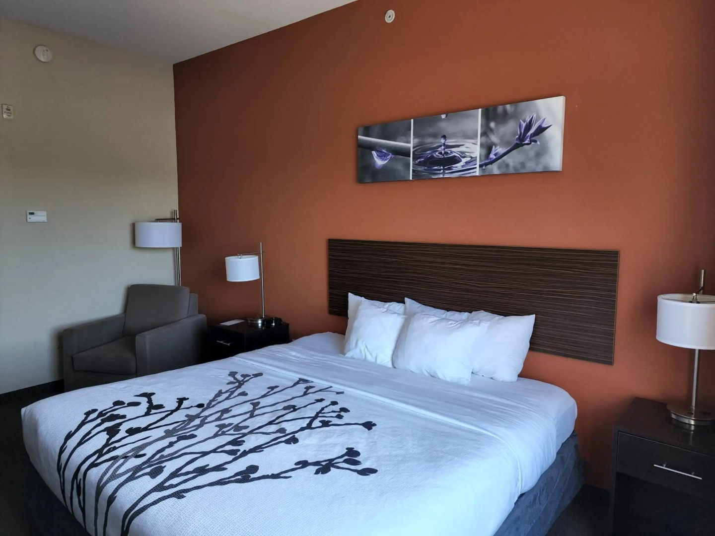 Sleep Inn & Suites Dyersburg I-155