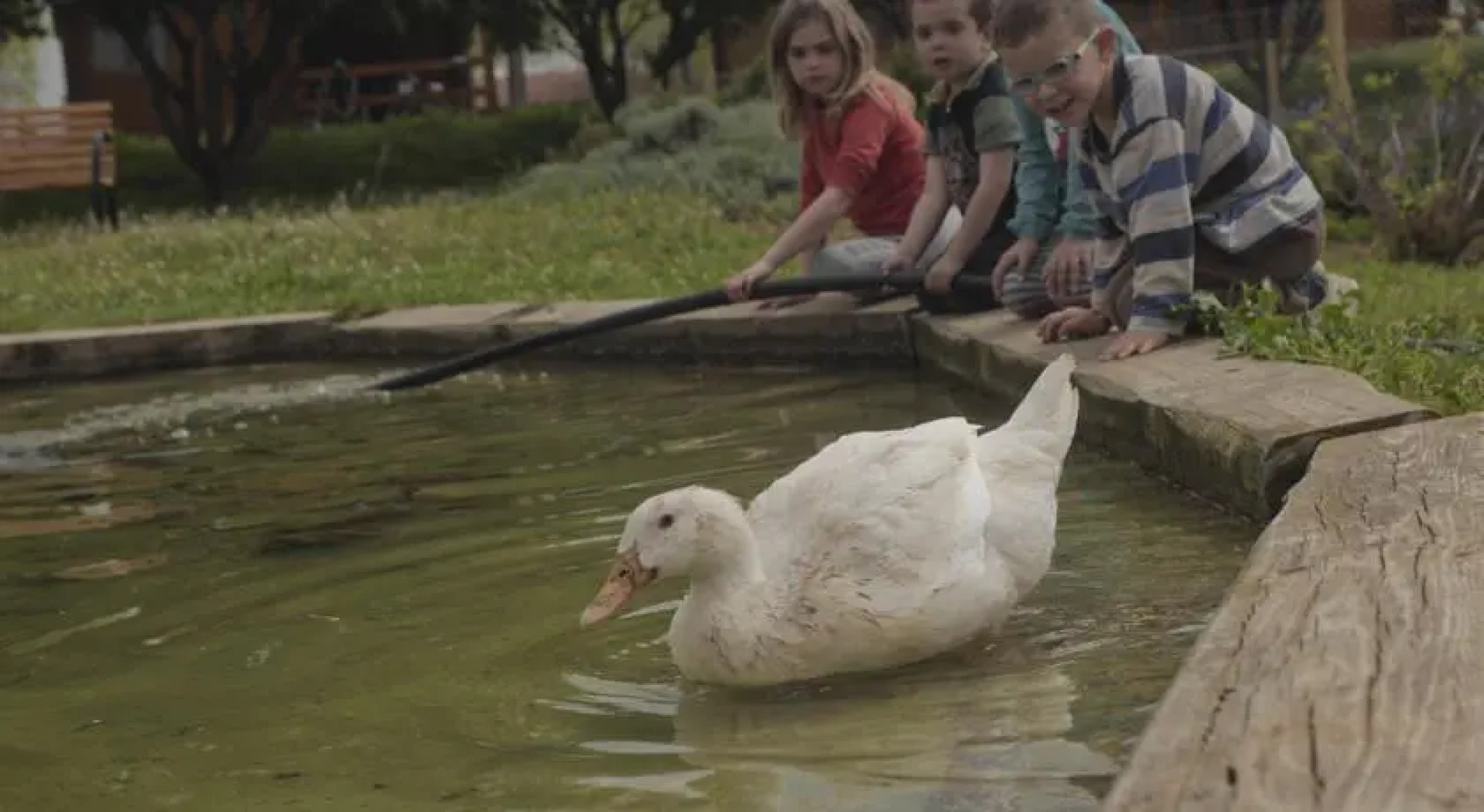 Ecològic Vinyols Camp