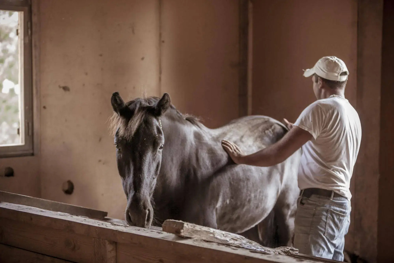 Grand Forest Metsovo
