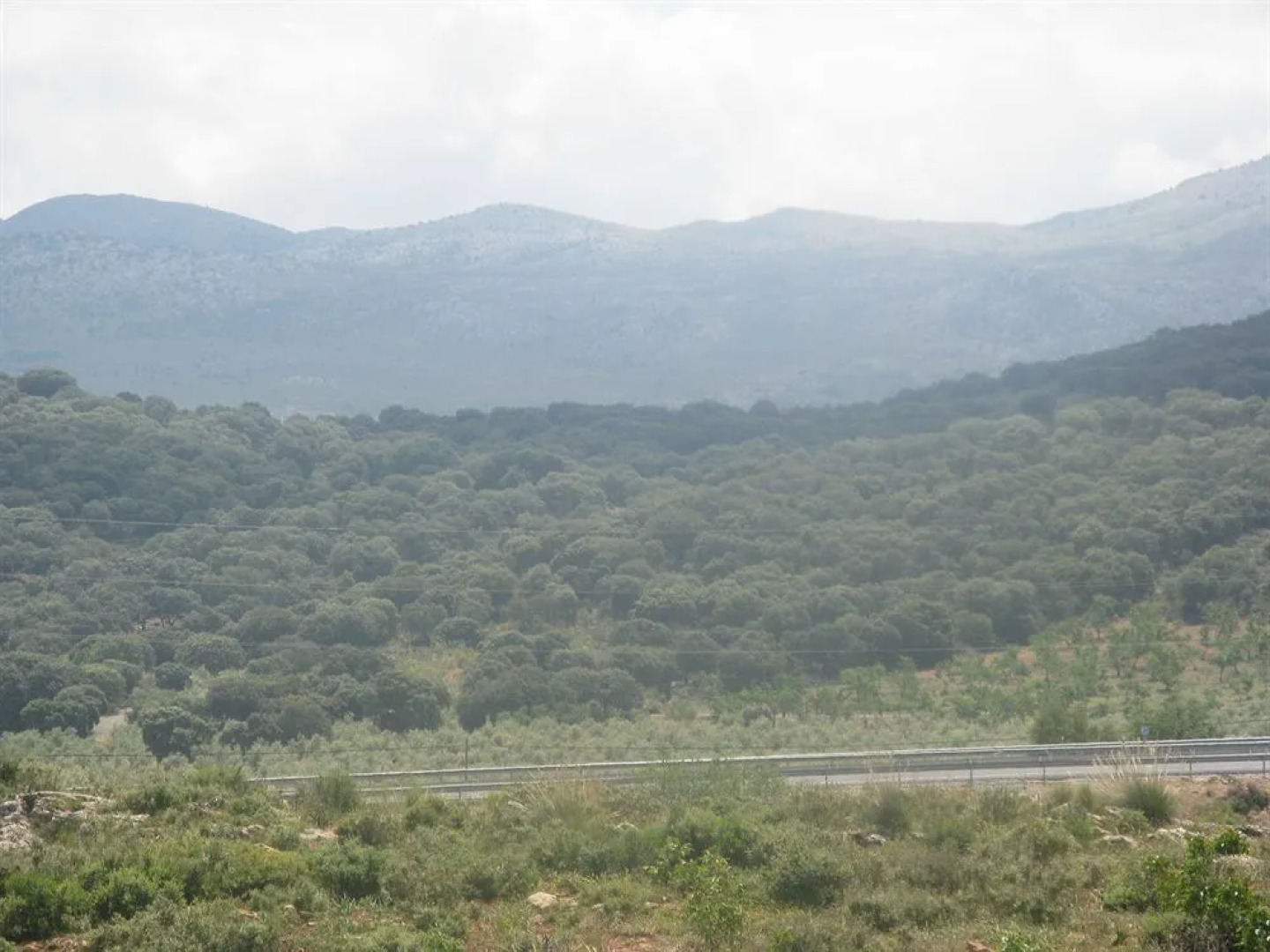 Hotel Hacienda Mendoza