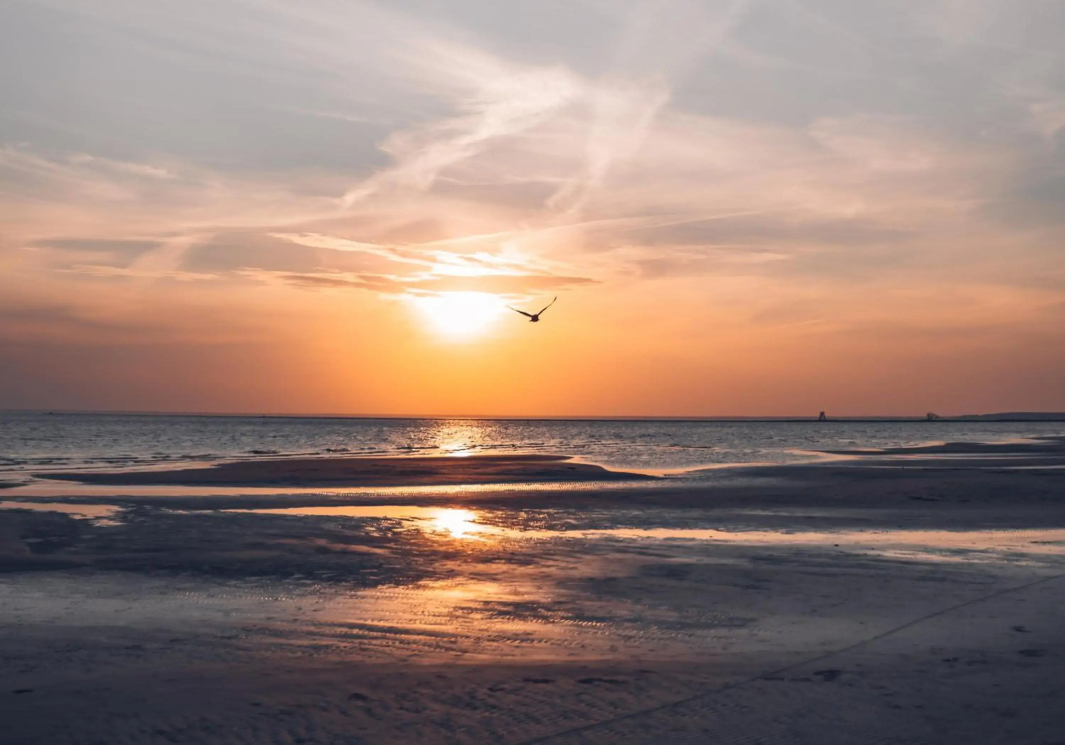 Отель и спа Hedon