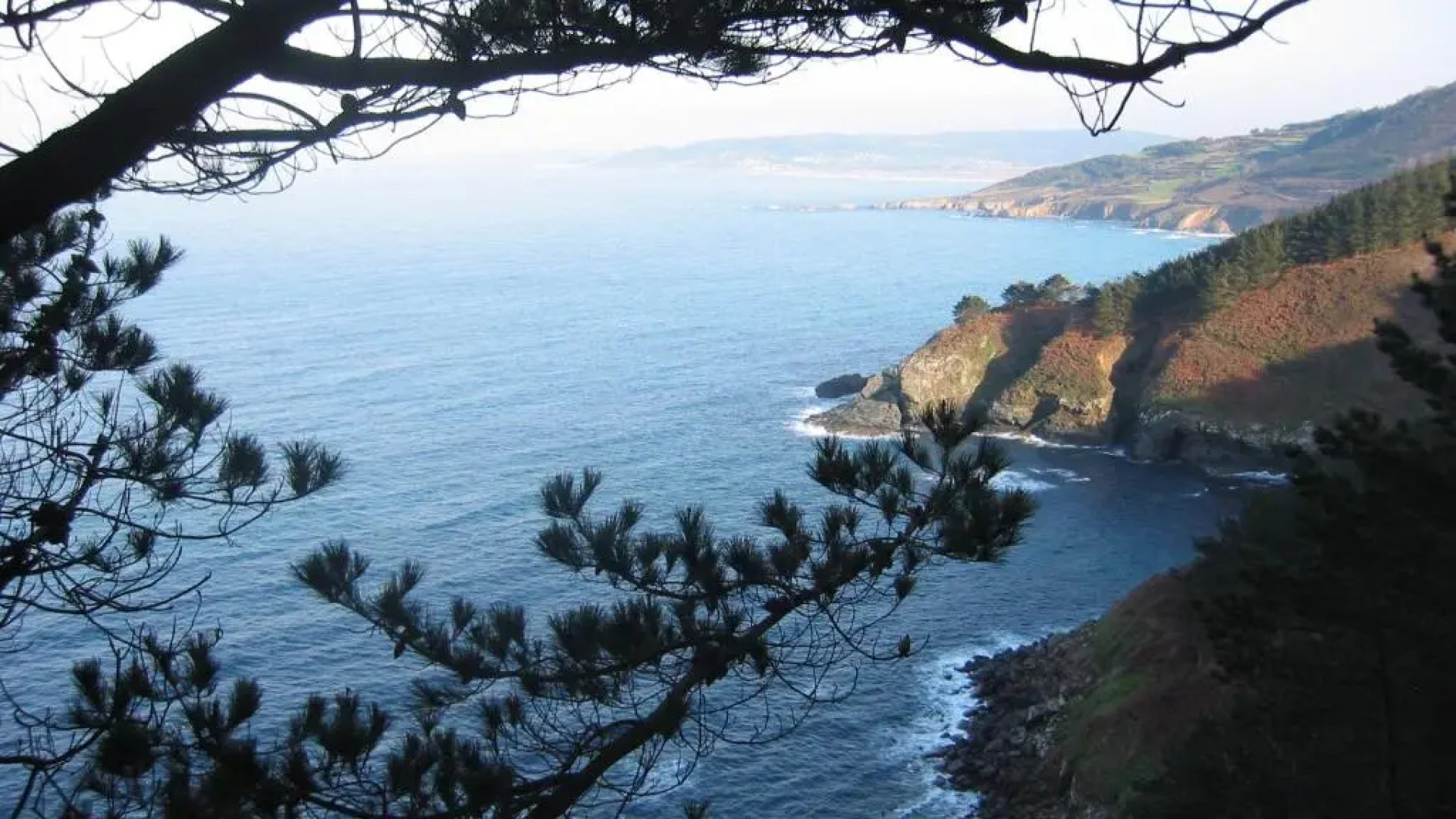 Apartamento Malpica Area Grande