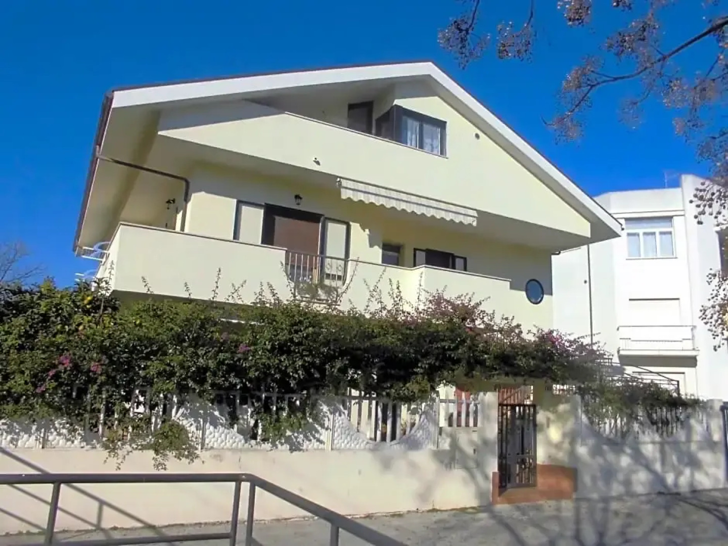 Il Cavalluccio Marino