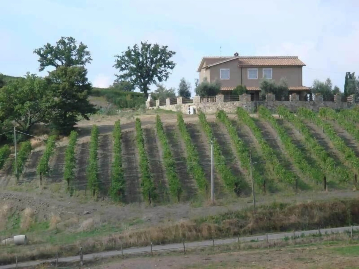 Bio Agriturismo Poggio Aione