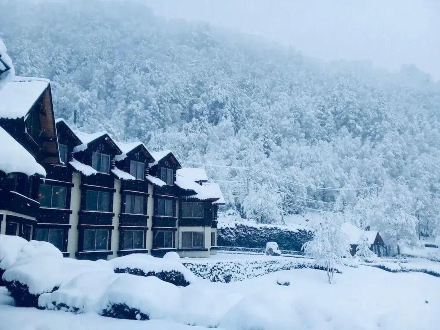 Malalcahuello Thermal Hotel & Spa