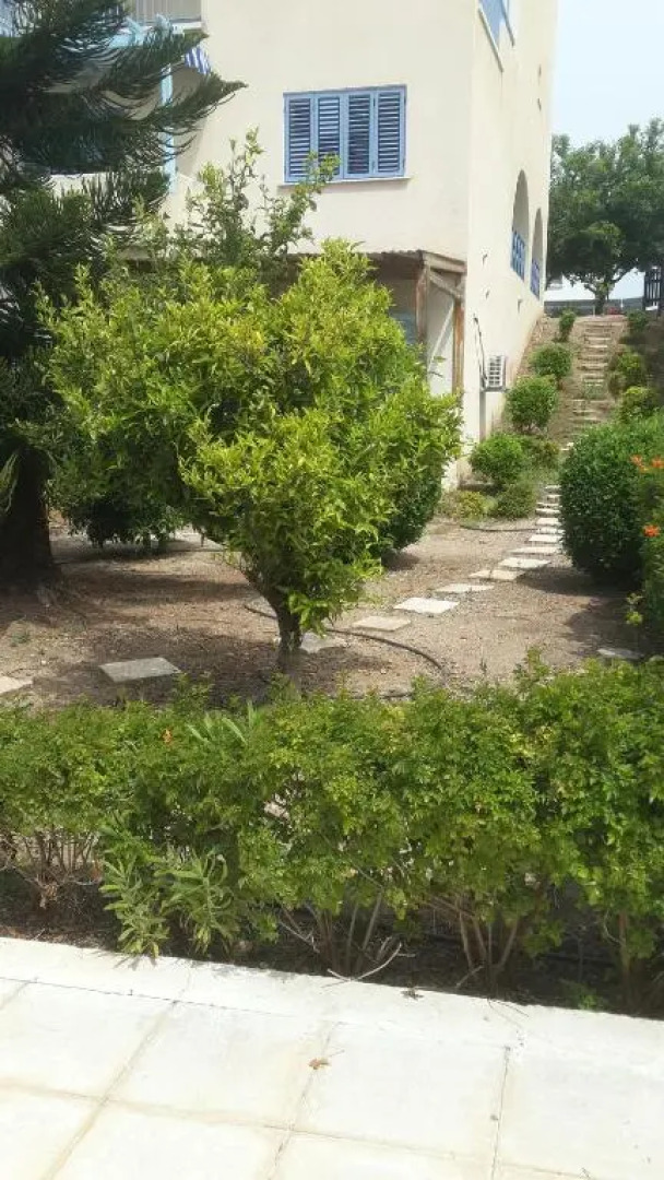 Pelagos Hill Apartment