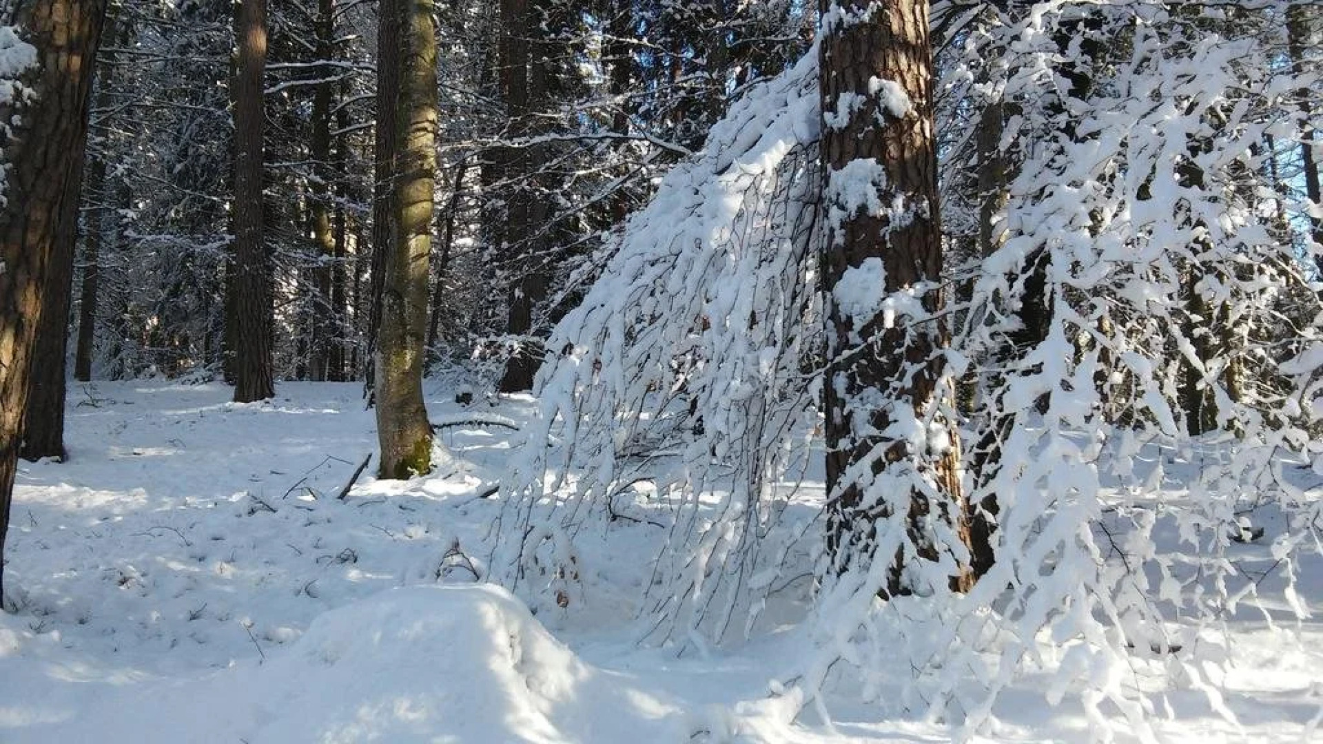 Ferienwohnung im Haus Edelweiss