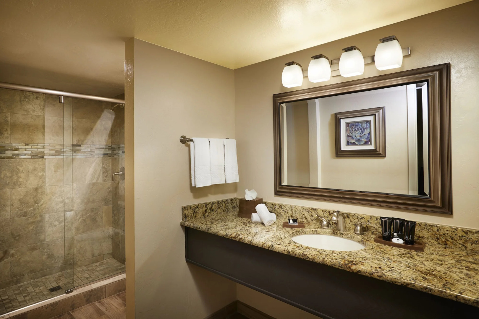 Scottsdale Plaza Resort