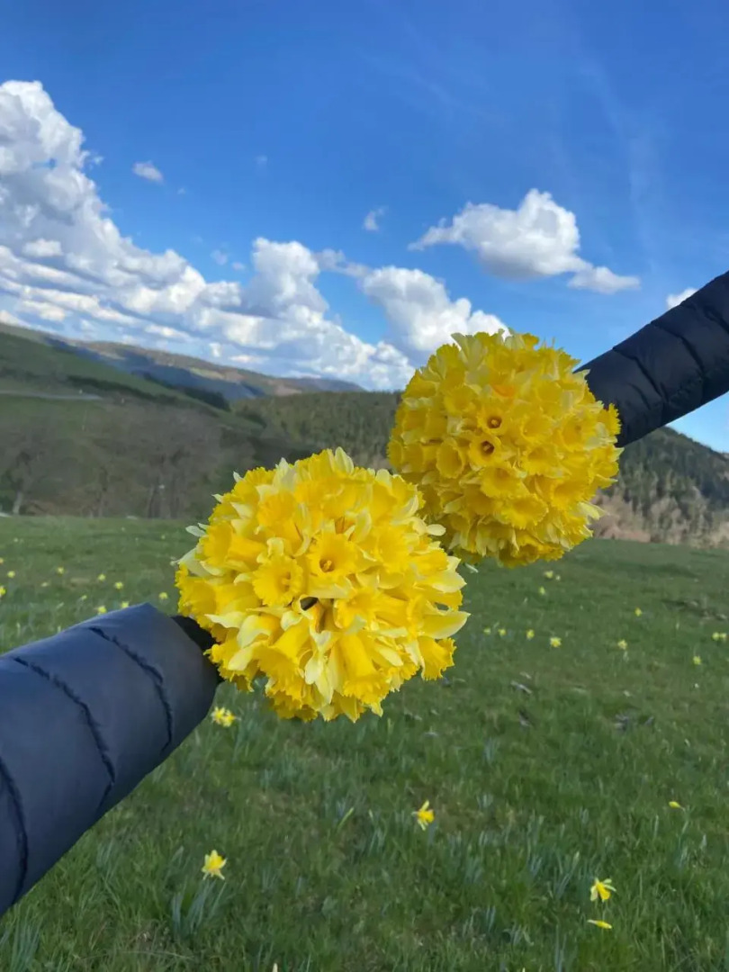 Restaurant La Renaissance