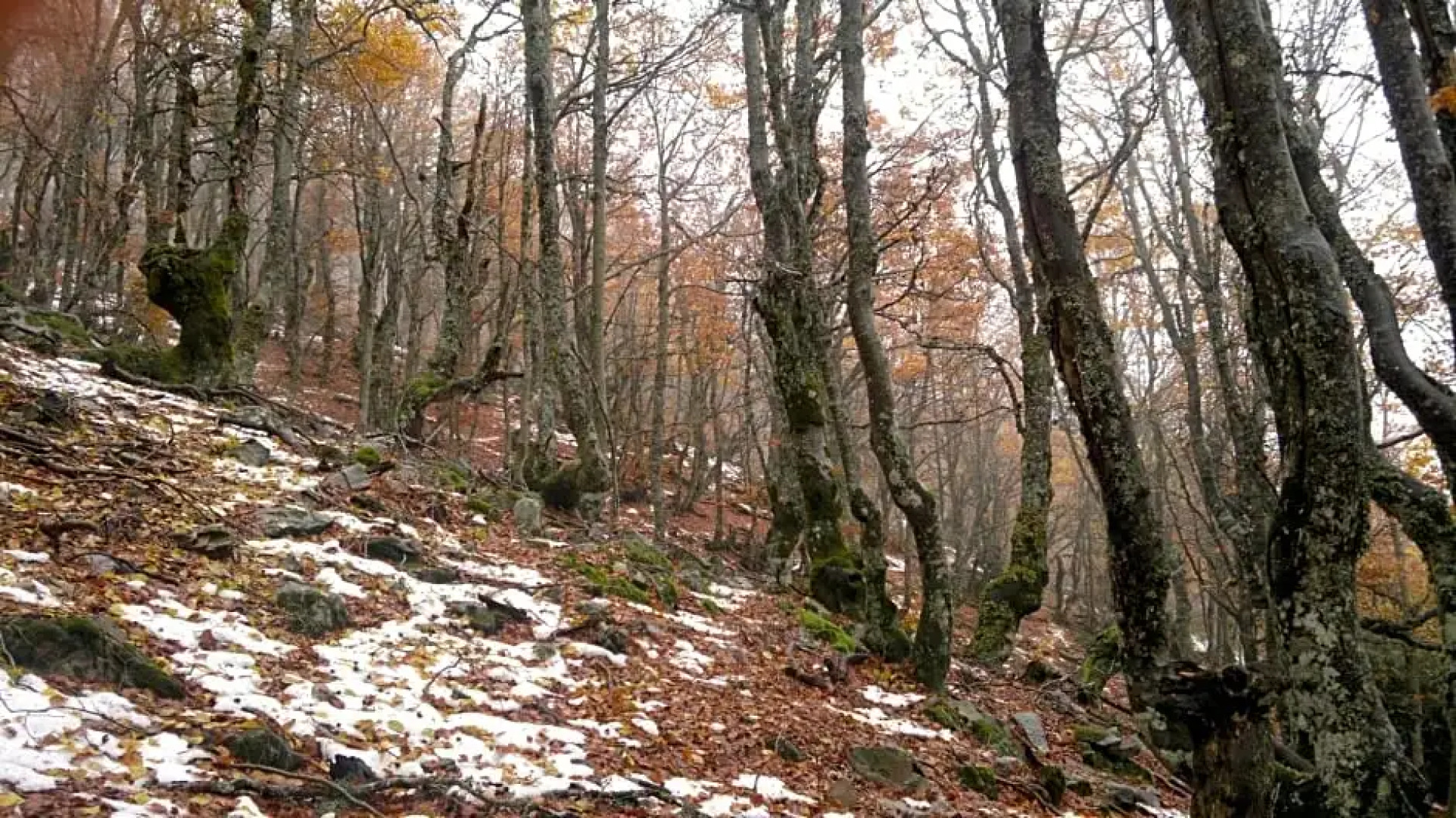 Hotel Rural La Romerosa