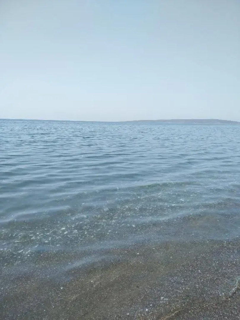 Πενυ Καντια 1ος Ν 4