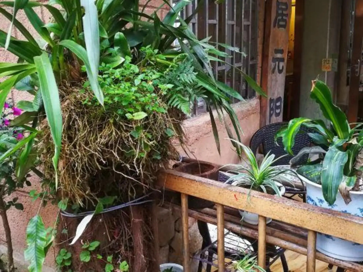 Timeless Hostel Yuanyang