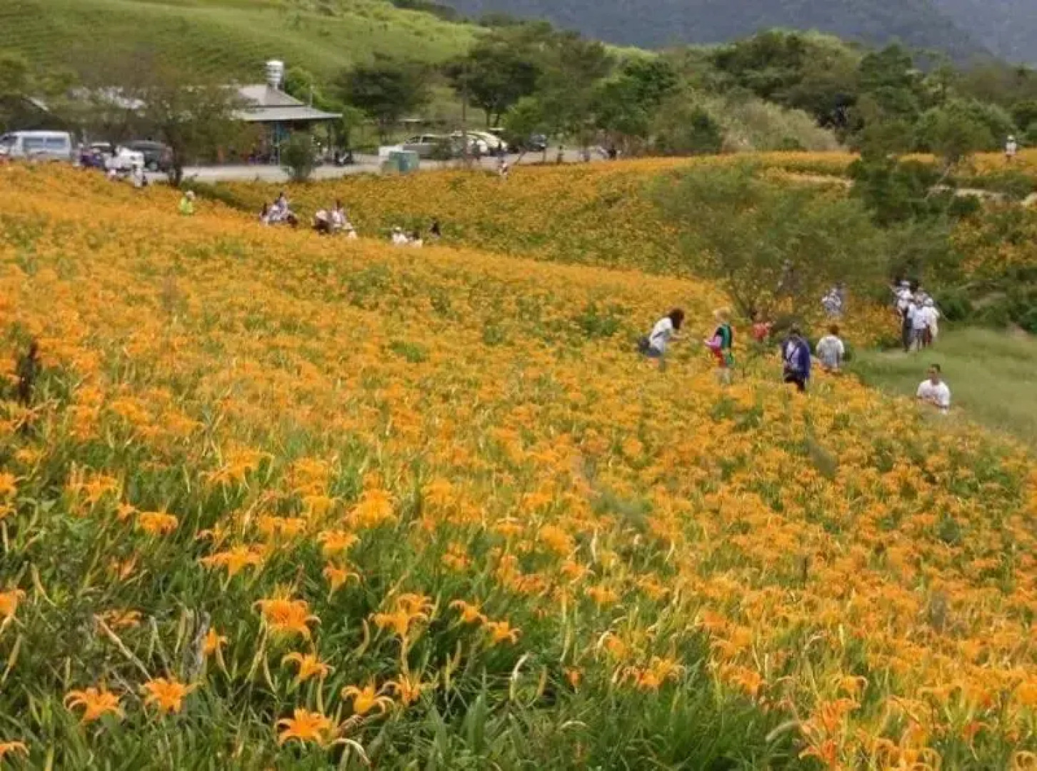 Yi-Xiang Yuan Guest House