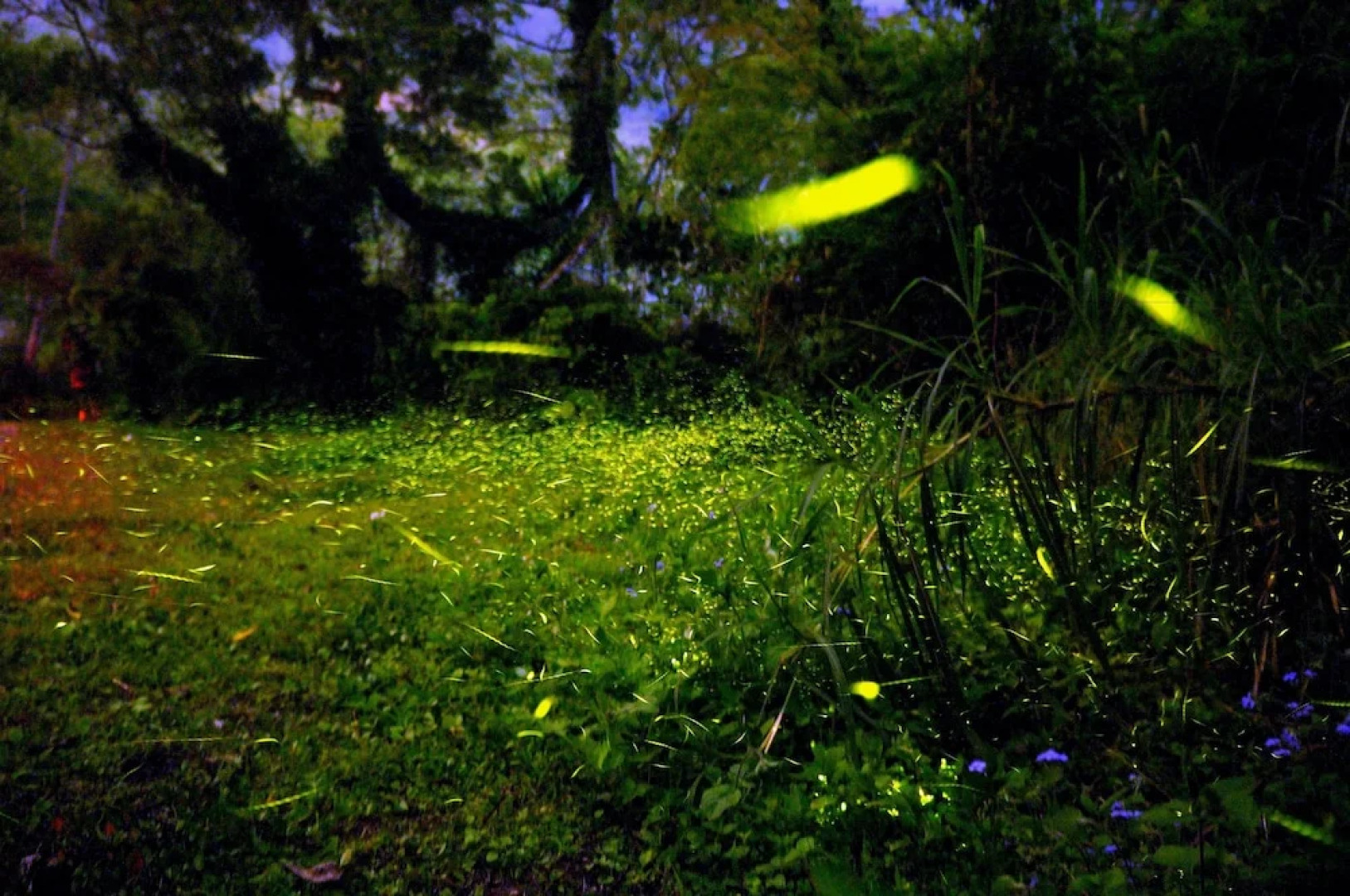 Ruili Meng Zongzhu Homestay