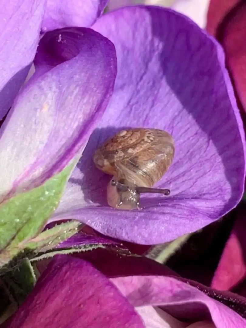 Yew Tree Cottage B&B