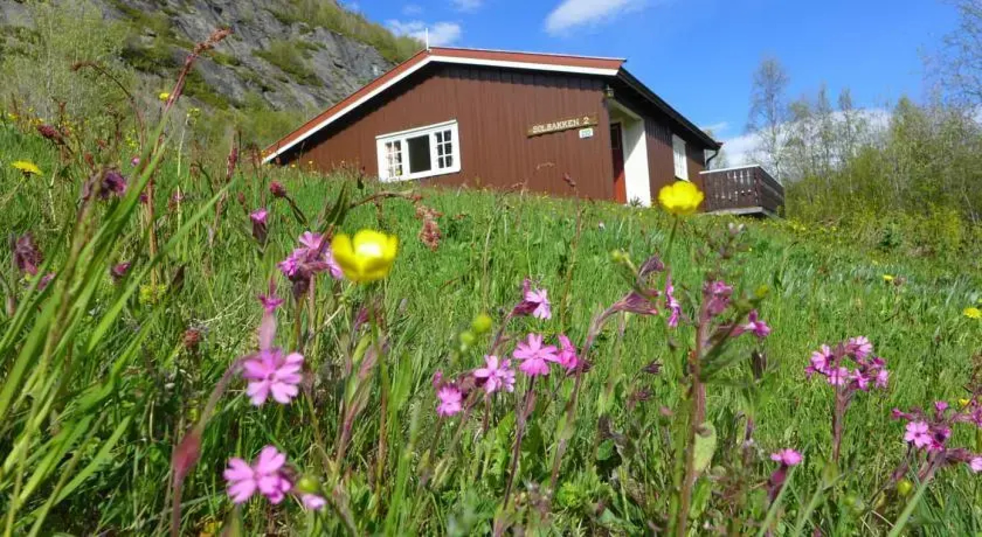 Hulbak Camping & Hytter