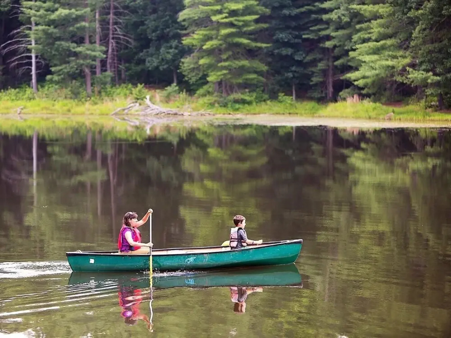 Montfair Resort Farm