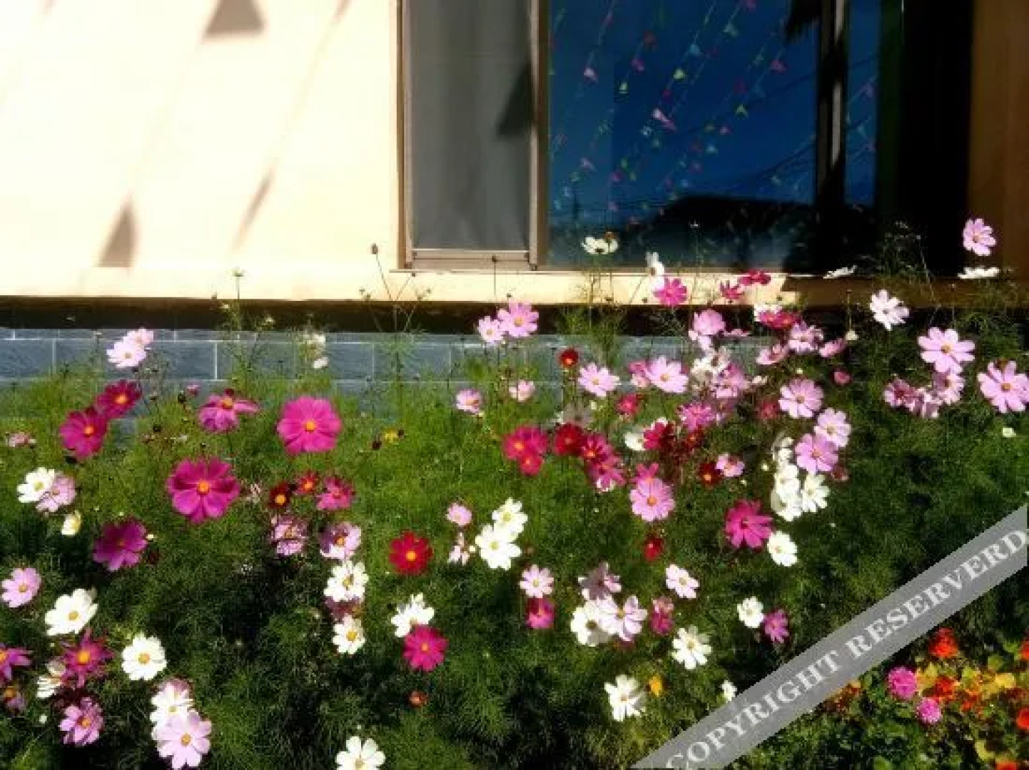 Yijingxuan Hotel Qinghai Lake