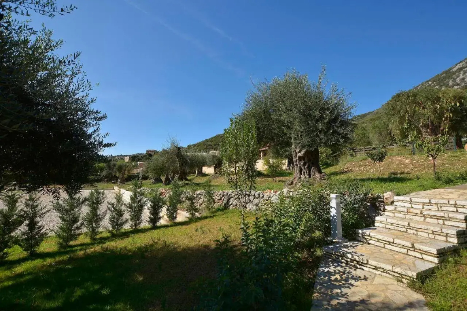 Renata Rooms & Studios