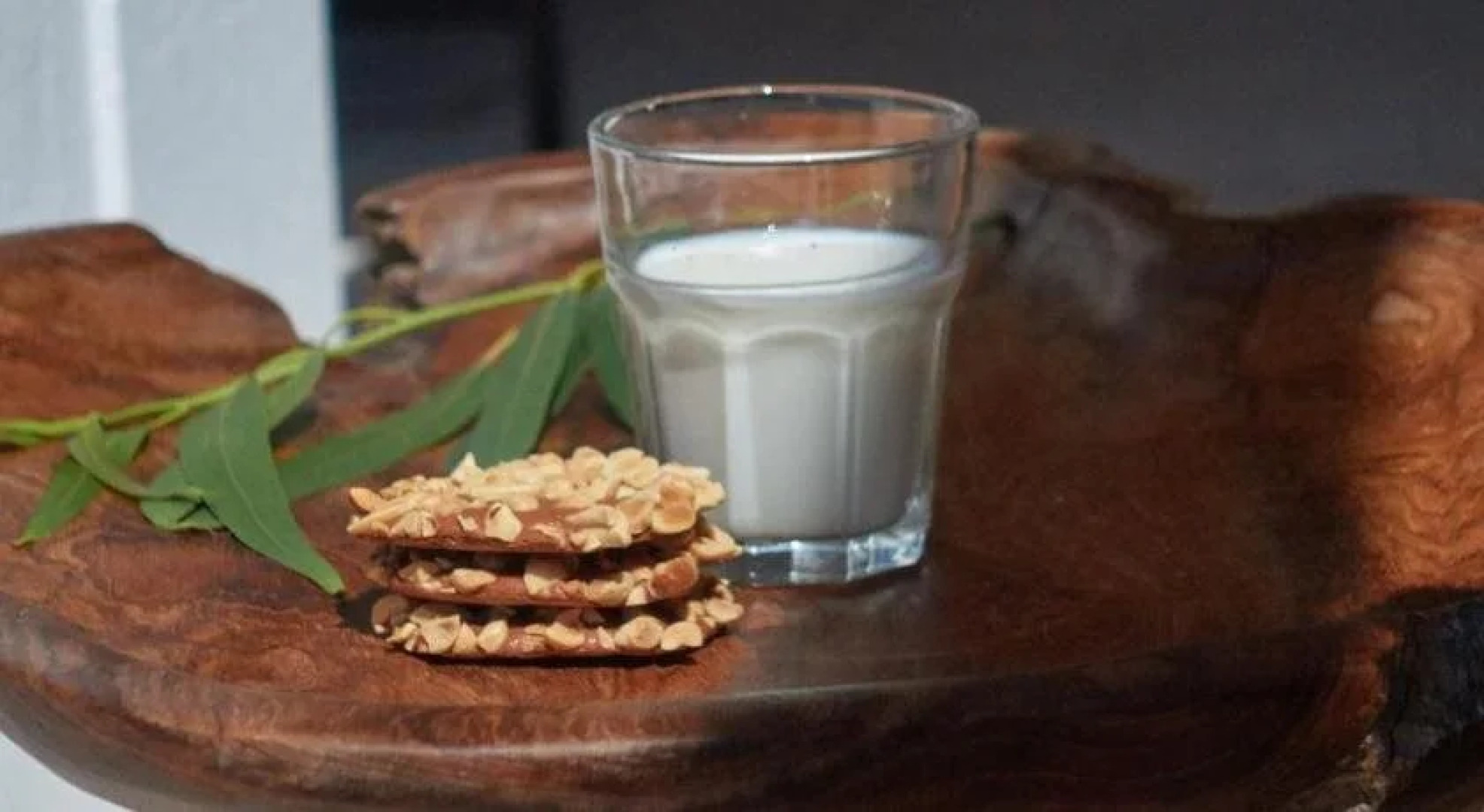 Torel Cliff Surf & Golf