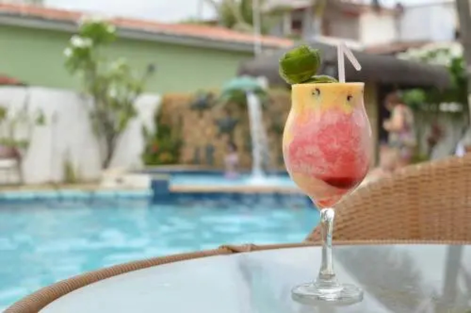 Paraíso das Tartarugas