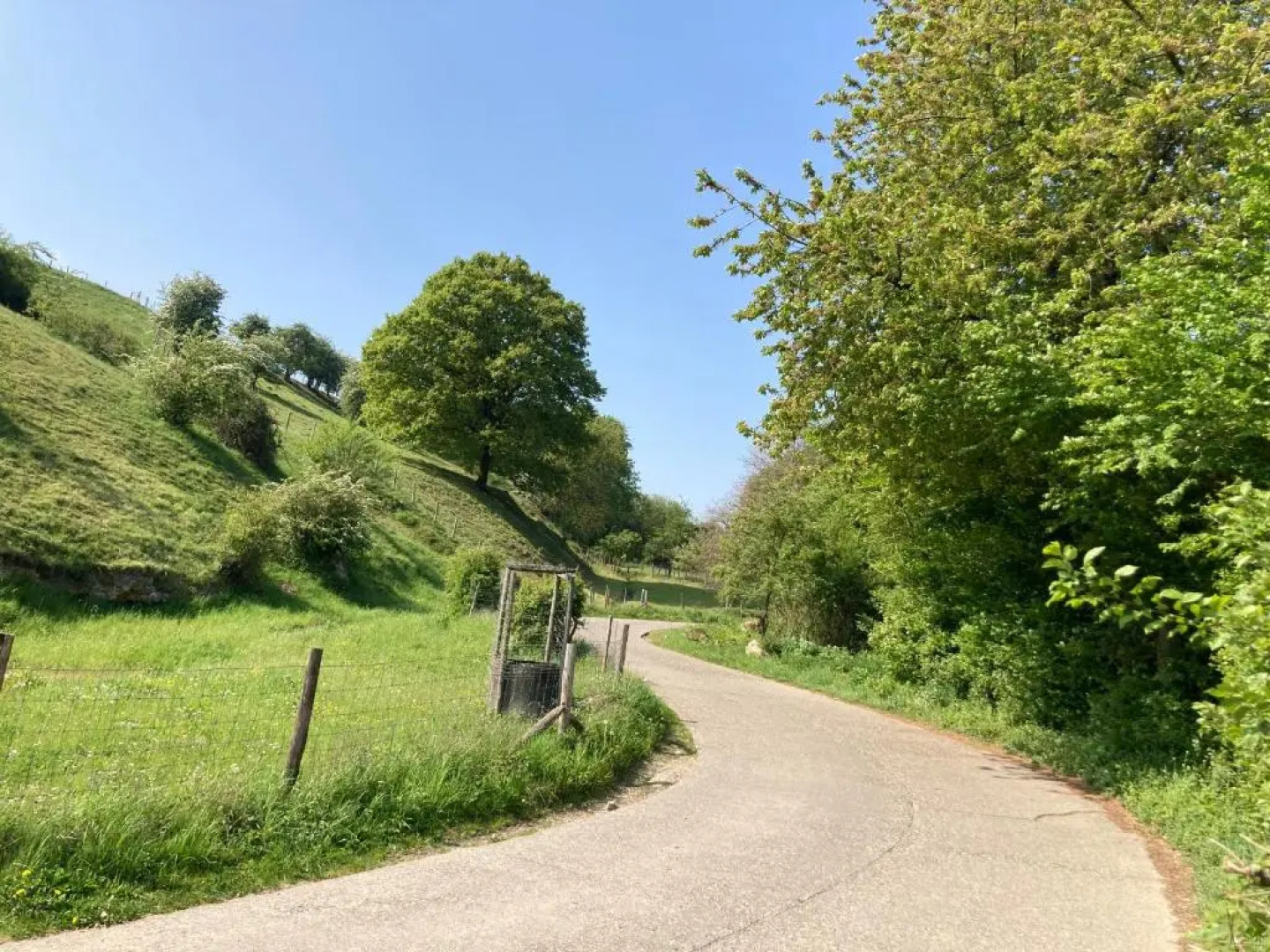 Tesi Eco-suite in Mergelgrot