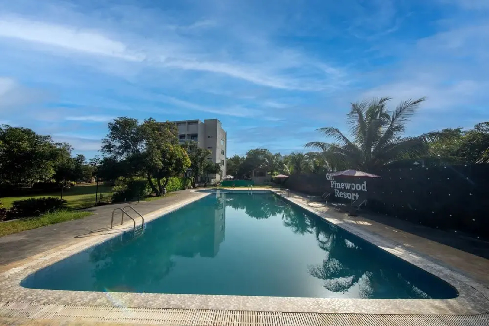 Kings Kraft Pinewood Ssan Gir