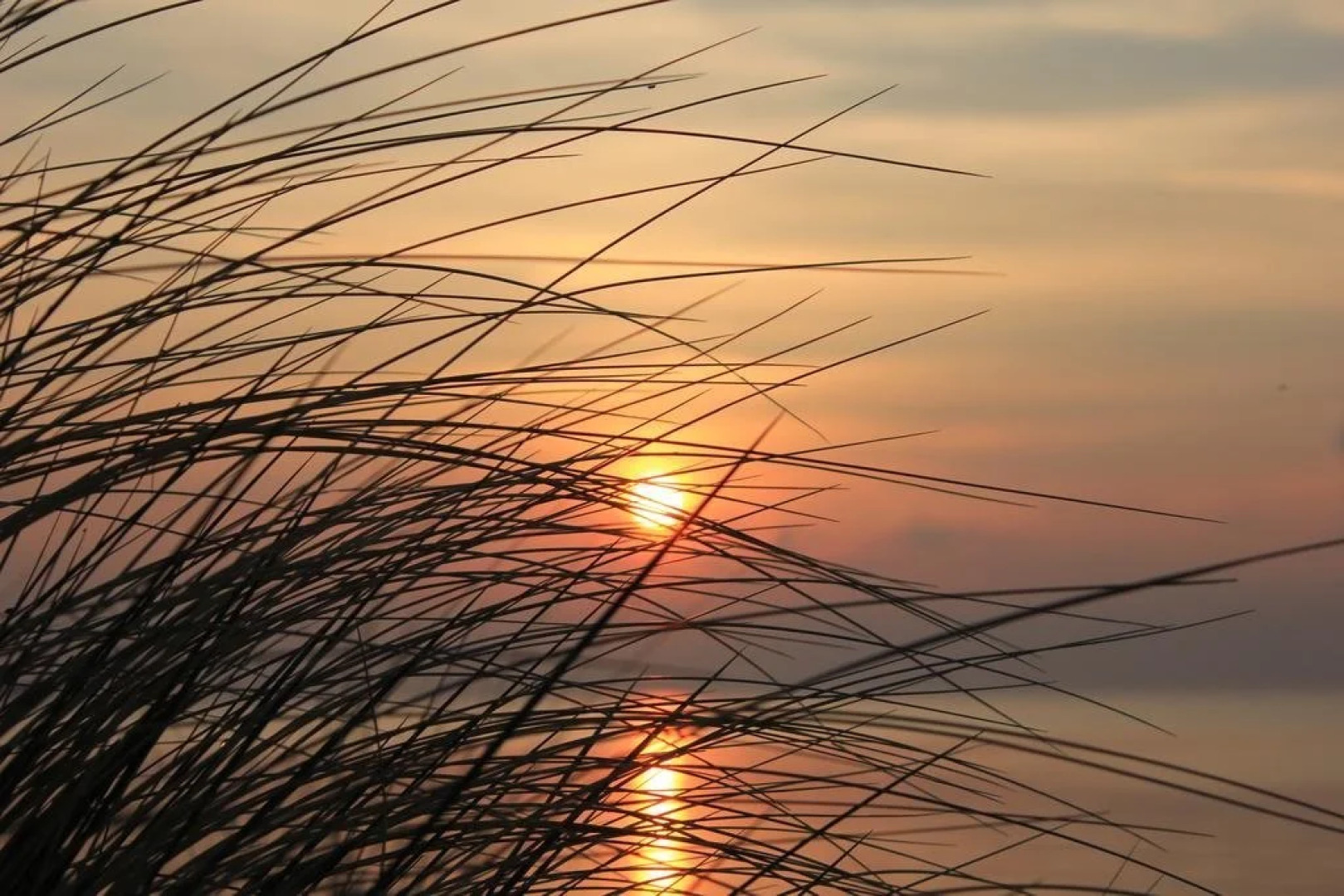 Appartmentanlage Zur Düne